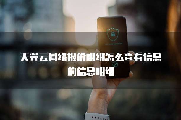 天翼云网络报价明细怎么查看信息的信息明细