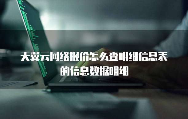 天翼云网络报价怎么查明细信息表的信息数据明细