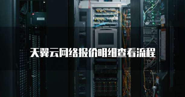 天翼云网络报价明细查看流程