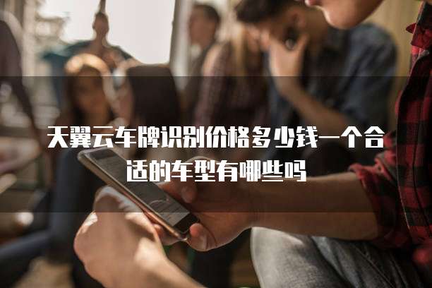 天翼云车牌识别价格多少钱一个合适的车型有哪些吗