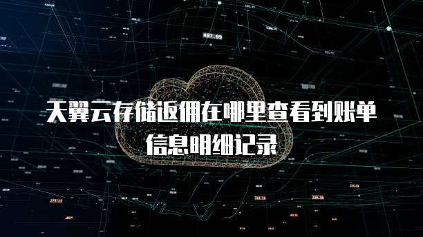 天翼云存储返佣在哪里查看到账单信息明细记录