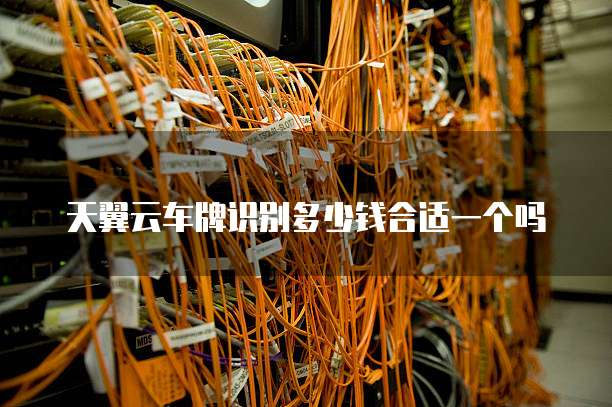天翼云车牌识别多少钱合适一个吗
