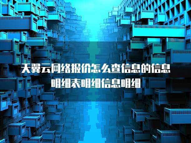 天翼云网络报价怎么查信息的信息明细表明细信息明细