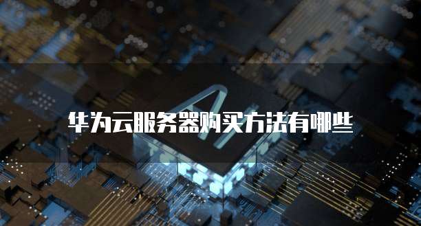 天翼云用的服务器是什么意思啊
