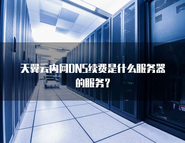 天翼云内网DNS续费是什么服务器的服务？