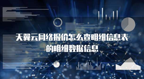 天翼云网络报价怎么查明细信息表的明细数据信息
