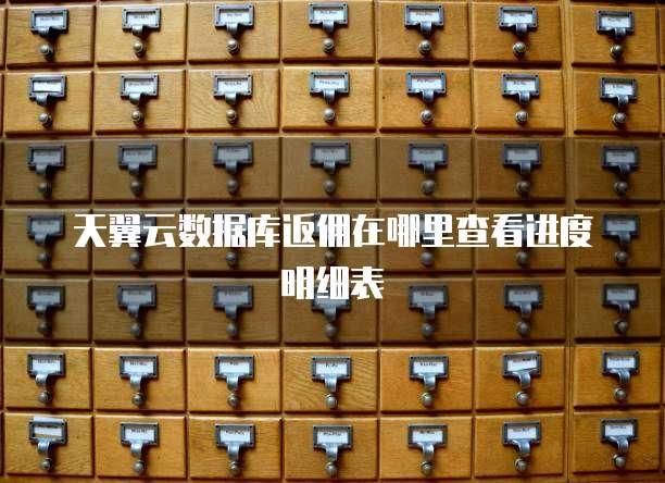 天翼云数据库返佣在哪里查看进度明细表