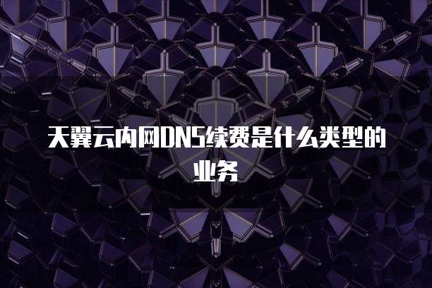天翼云内网DNS续费是什么类型的业务