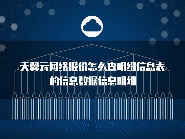 天翼云网络报价怎么查明细信息表的信息数据信息明细