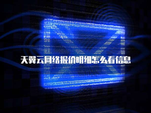 天翼云网络报价明细怎么看信息