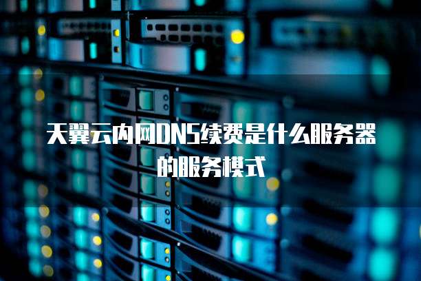 天翼云内网DNS续费是什么服务器的服务模式
