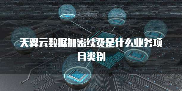天翼云数据加密续费是什么业务项目类别