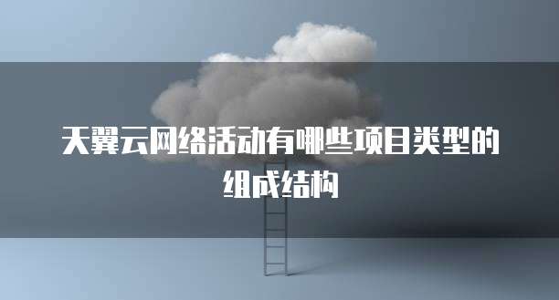天翼云网络活动有哪些项目类型的组成结构