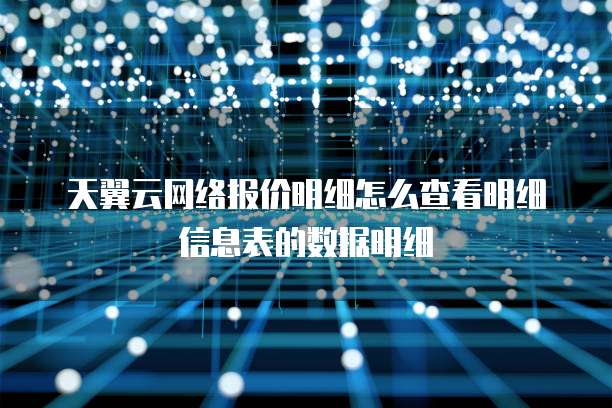 天翼云网络报价明细怎么查看明细信息表的数据明细