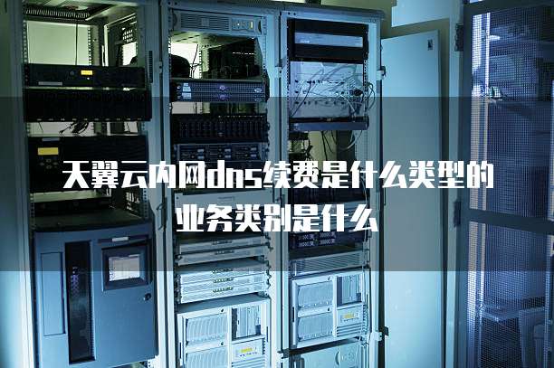 天翼云内网dns续费是什么类型的业务类别是什么