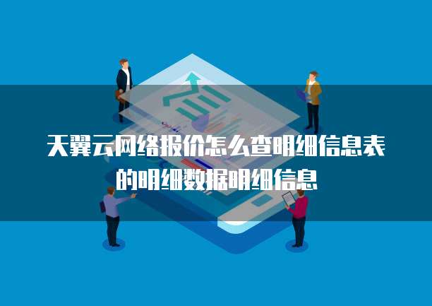天翼云网络报价怎么查明细信息表的明细数据明细信息