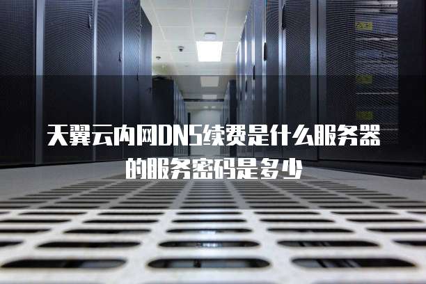 天翼云内网DNS续费是什么服务器的服务密码是多少