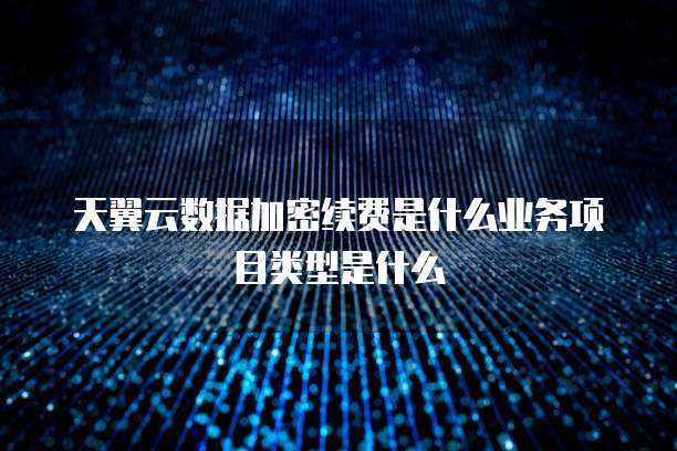 天翼云数据加密续费是什么业务项目类型是什么