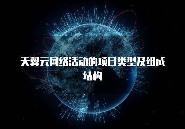 天翼云网络活动的项目类型及组成结构