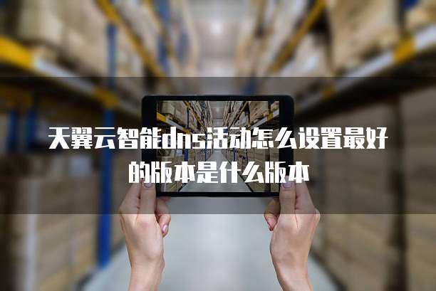 天翼云智能dns活动怎么设置最好的版本是什么版本