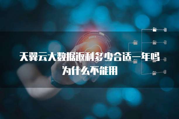 天翼云大数据返利多少合适一年吗为什么不能用