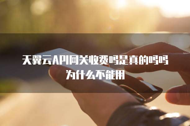 天翼云API网关收费吗是真的吗吗为什么不能用