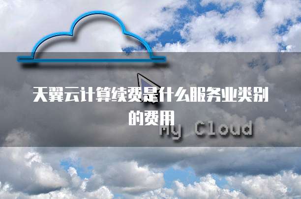 天翼云计算续费是什么服务业类别的费用