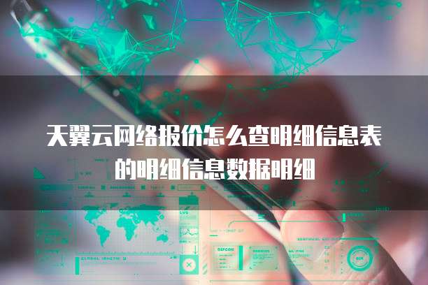 天翼云网络报价怎么查明细信息表的明细信息数据明细