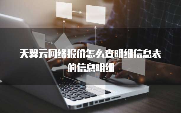 天翼云网络报价怎么查明细信息表的信息明细