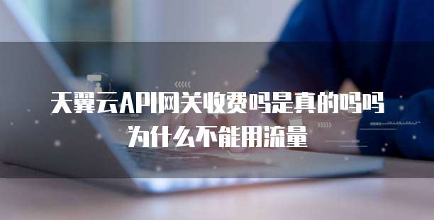 天翼云API网关收费吗是真的吗吗为什么不能用流量