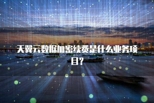 天翼云数据加密续费是什么业务项目?