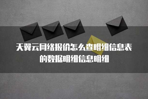 天翼云网络报价怎么查明细信息表的数据明细信息明细