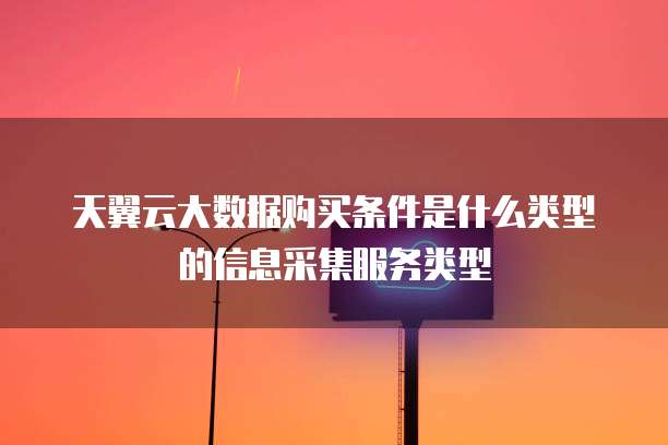 天翼云大数据购买条件是什么类型的信息采集服务类型
