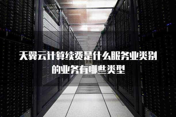 天翼云计算续费是什么服务业类别的业务有哪些类型