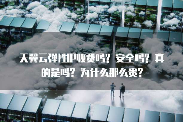 天翼云弹性IP收费吗? 安全吗? 真的是吗? 为什么那么贵?