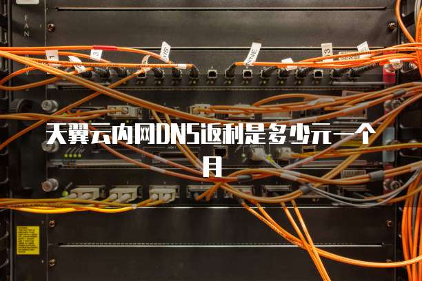 天翼云内网DNS返利是多少元一个月