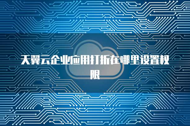 天翼云企业应用打折在哪里设置权限