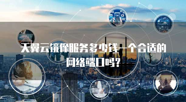 天翼云镜像服务多少钱一个合适的网络端口吗?