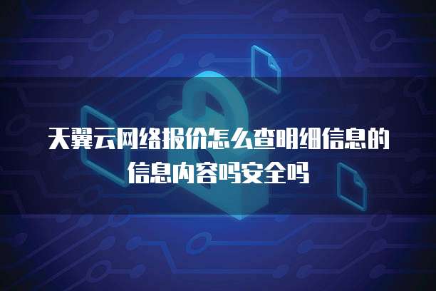 天翼云网络报价怎么查明细信息的信息内容吗安全吗