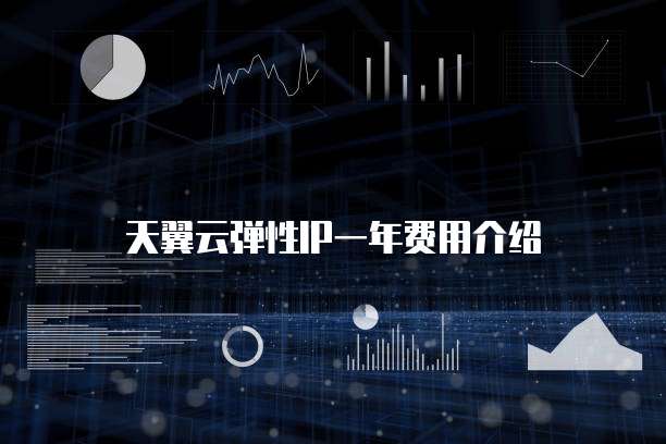 天翼云弹性IP一年费用介绍