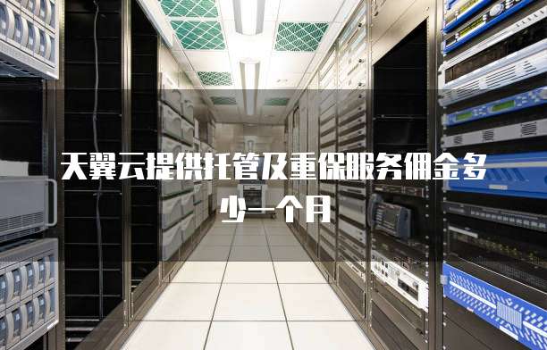 天翼云提供托管及重保服务佣金多少一个月