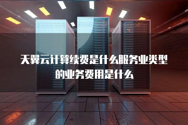 天翼云计算续费是什么服务业类型的业务费用是什么