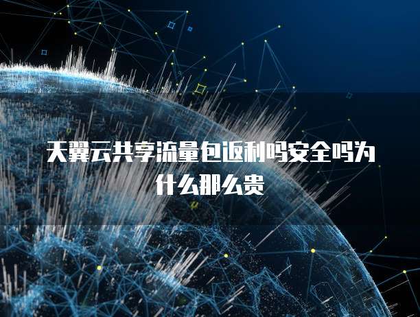 天翼云共享流量包返利吗安全吗为什么那么贵