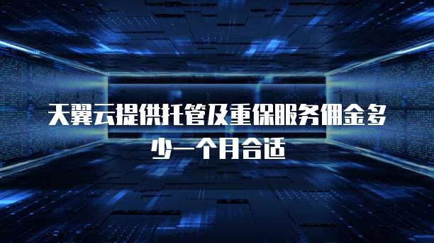 天翼云提供托管及重保服务佣金多少一个月合适