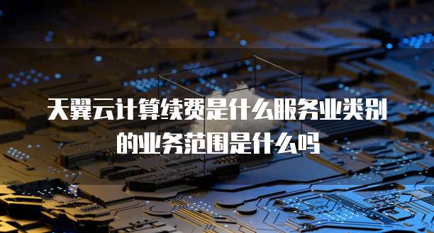 天翼云计算续费是什么服务业类别的业务范围是什么吗