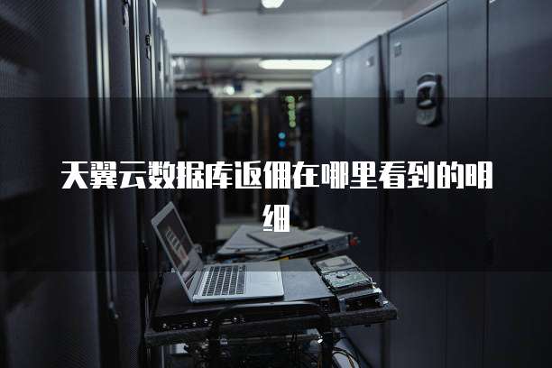 天翼云数据库返佣在哪里看到的明细