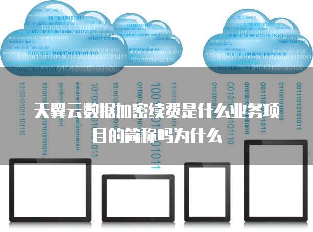 天翼云数据加密续费是什么业务项目的简称吗为什么