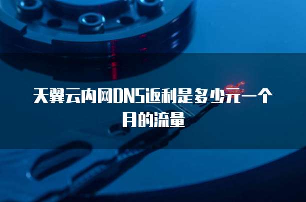 天翼云内网DNS返利是多少元一个月的流量