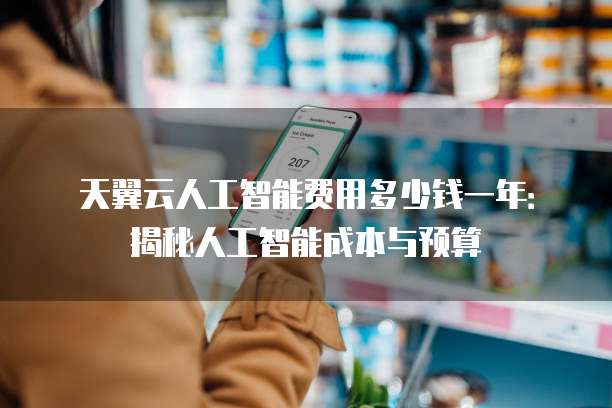 天翼云人工智能费用多少钱一年：揭秘人工智能成本与预算