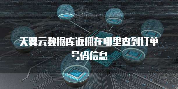 天翼云数据库返佣在哪里查到订单号码信息